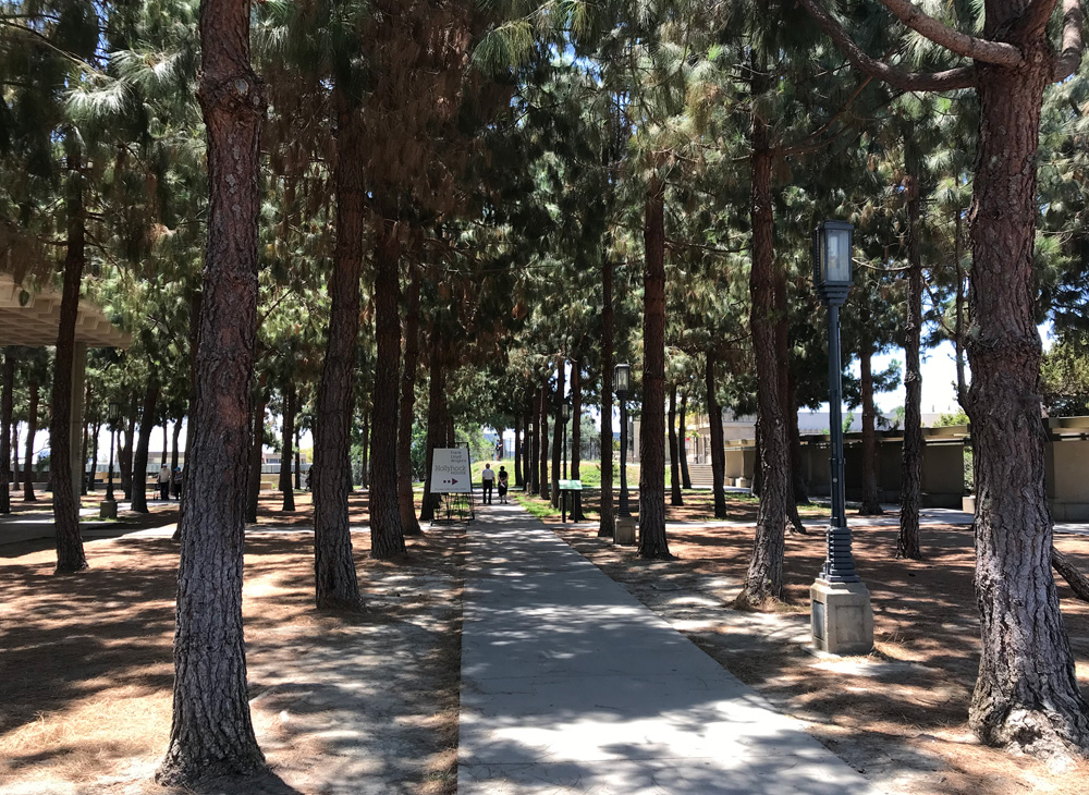 Hollyhock House 01